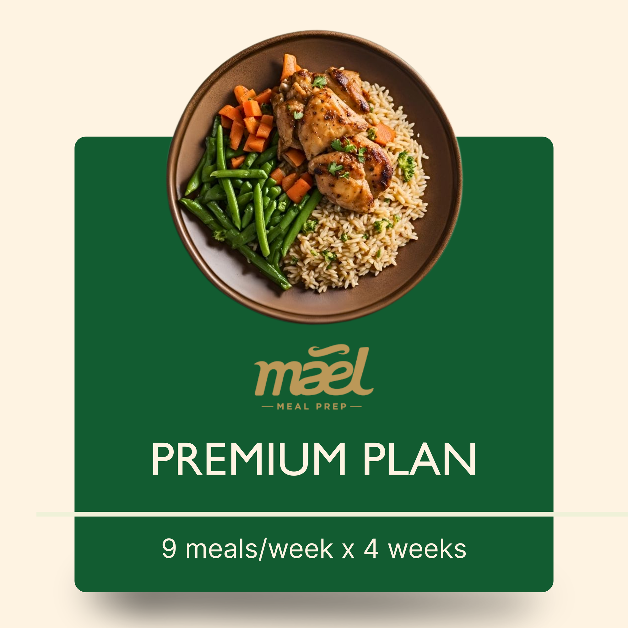 Premium Plan